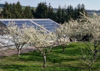 verger en fleurs panneau solaire