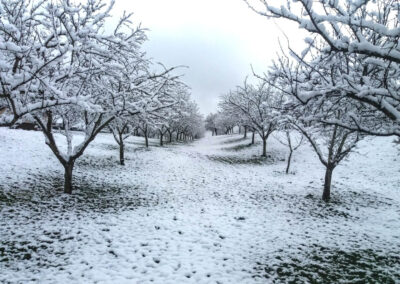 verger neige2
