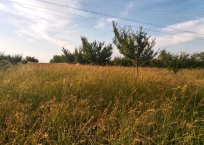verger prairie