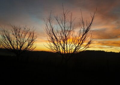 verger silhouette